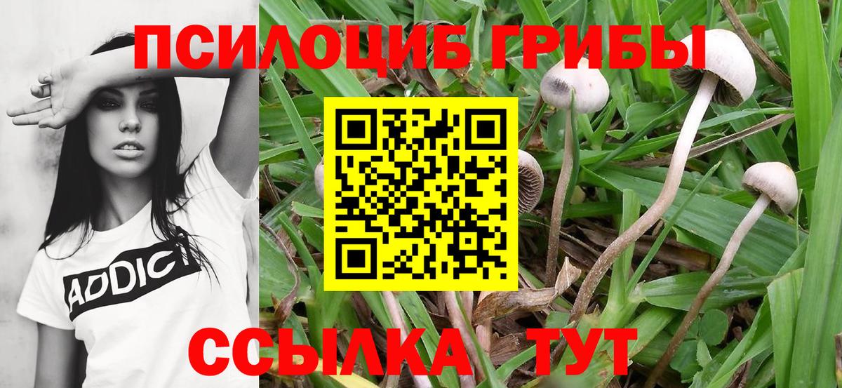 Галлюциногенные грибы мицелий  Вход с VPN  Гай 